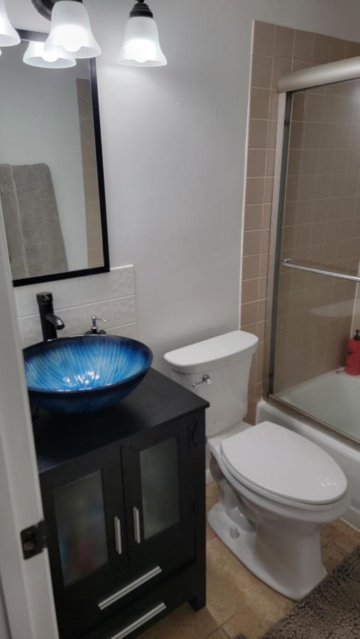 Entire One Bedroom Apartment Annandale Eksteriør bilde